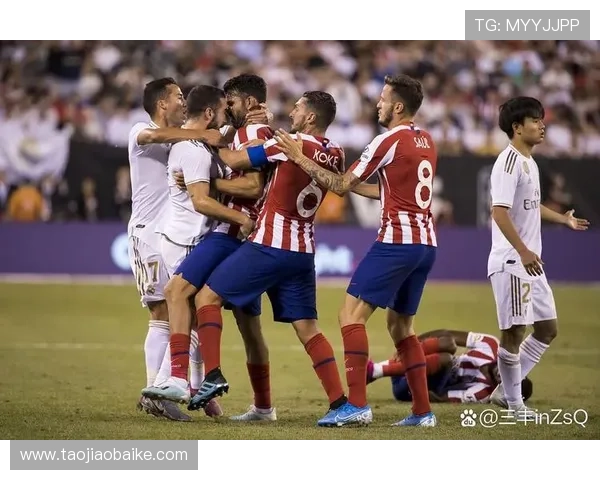 勒阿弗尔俱乐部百年征程与法甲青训文化的坚守与新生城市精神与未来愿景